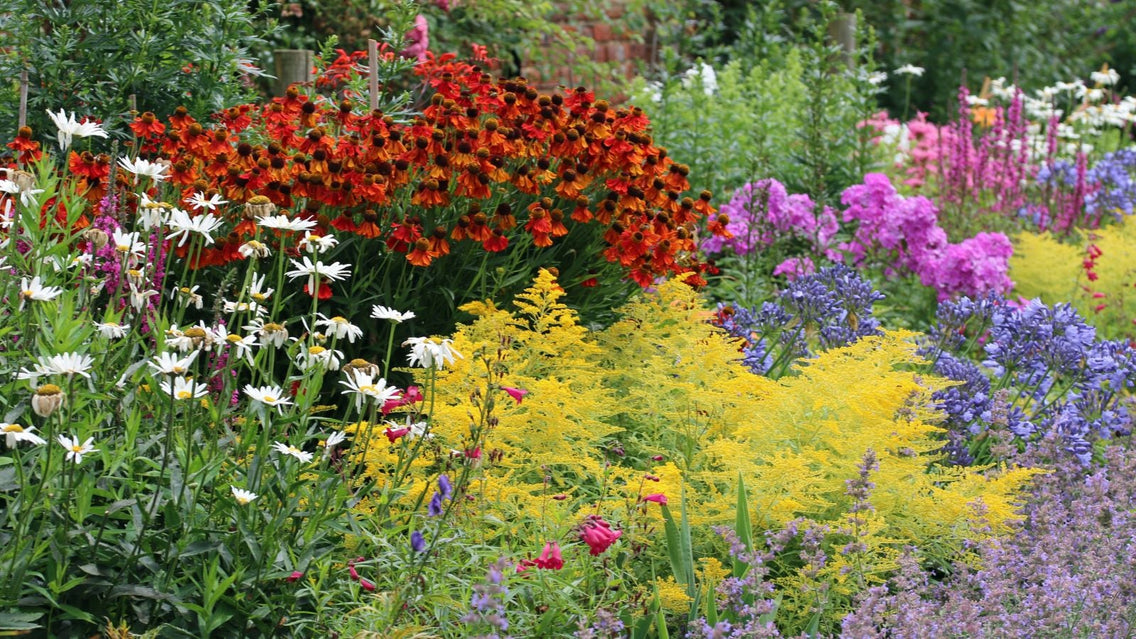 21 Foolproof Perennials Perfect for New Gardeners
