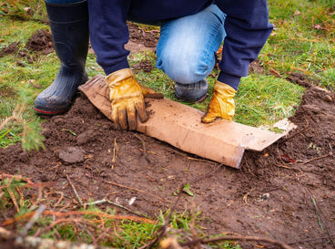 A shot of a person in the process of rolling a carton in a yare area, showcasing cardboard safe garden