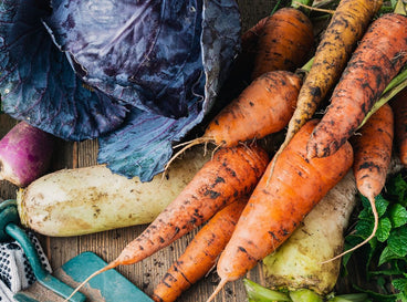15 Winter Vegetables That Survive Frost and Snow