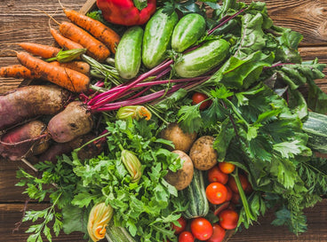 23 Vegetables and Companion Plants Perfect For Sowing in July