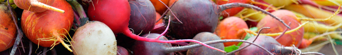 Beet: Sow and Grow Guide