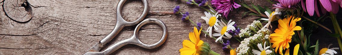 Cut-Flower Gardening: 10 Tips for Success!