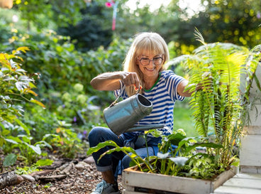 9 Smart Strategies for a Beautiful, Low-Maintenance Yard