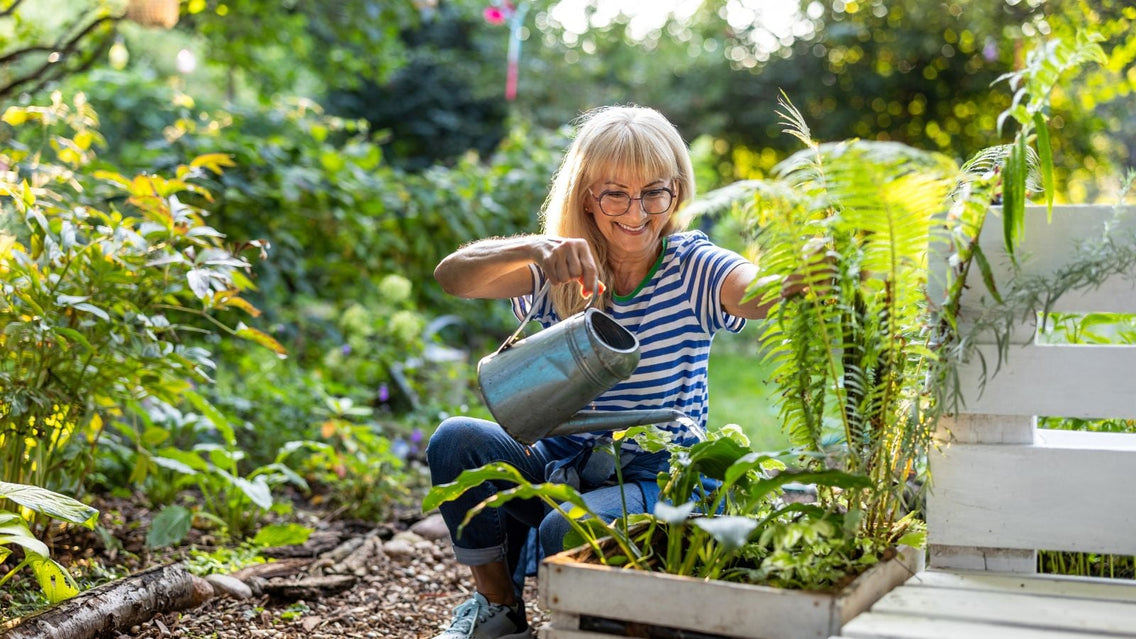 9 Smart Strategies for a Beautiful, Low-Maintenance Yard