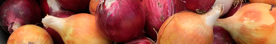 Onion: Sow and Grow Guide
