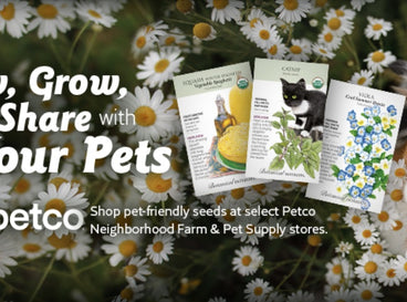 How to Find Pet-Friendly Seeds for Your Garden