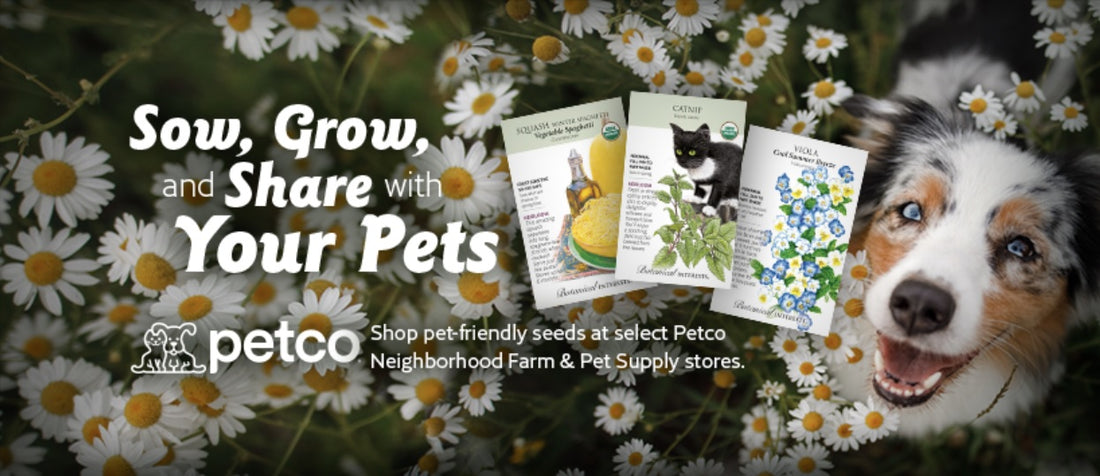 How to Find Pet-Friendly Seeds for Your Garden