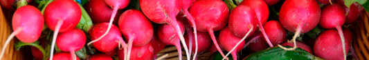 Radish: Sow and Grow Guide