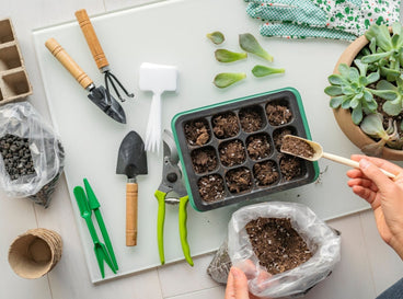 An overhead view of a seed-starting setup with soil, seed trays, and several tools.