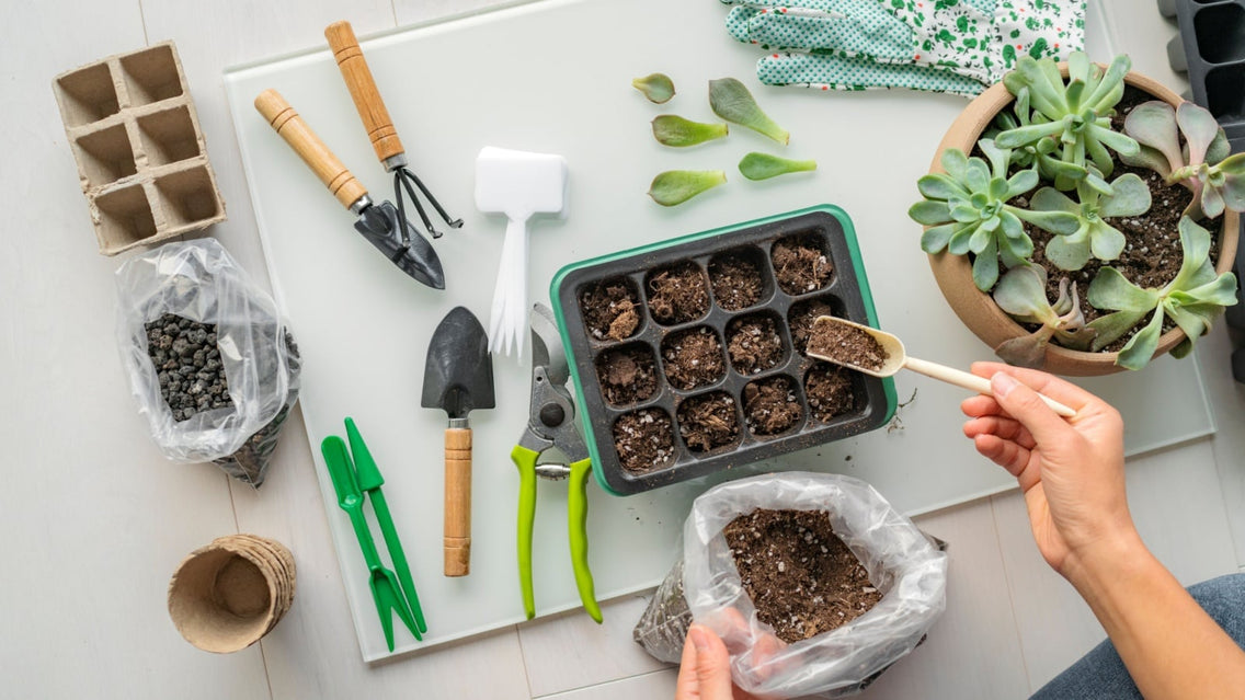 An overhead view of a seed-starting setup with soil, seed trays, and several tools.