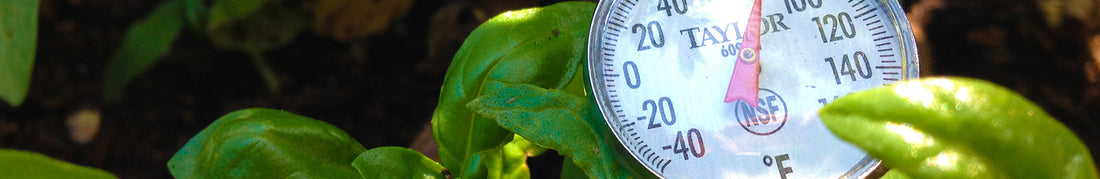 Soil Temperature for Higher Germination
