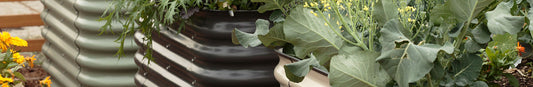 Raised Bed Gardening: Benefits, Tips and Tricks