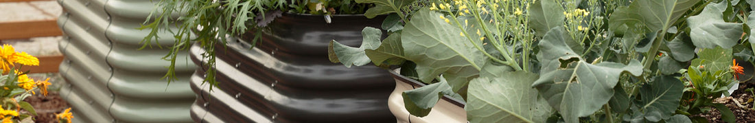 Raised Bed Gardening: Benefits, Tips and Tricks