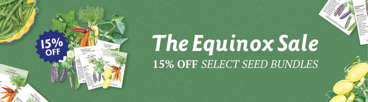 Equinox Collection