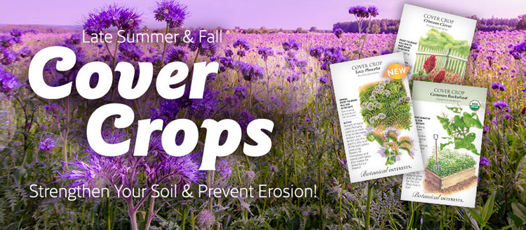 Cover Crop Seeds Growing to Promote Soil Health