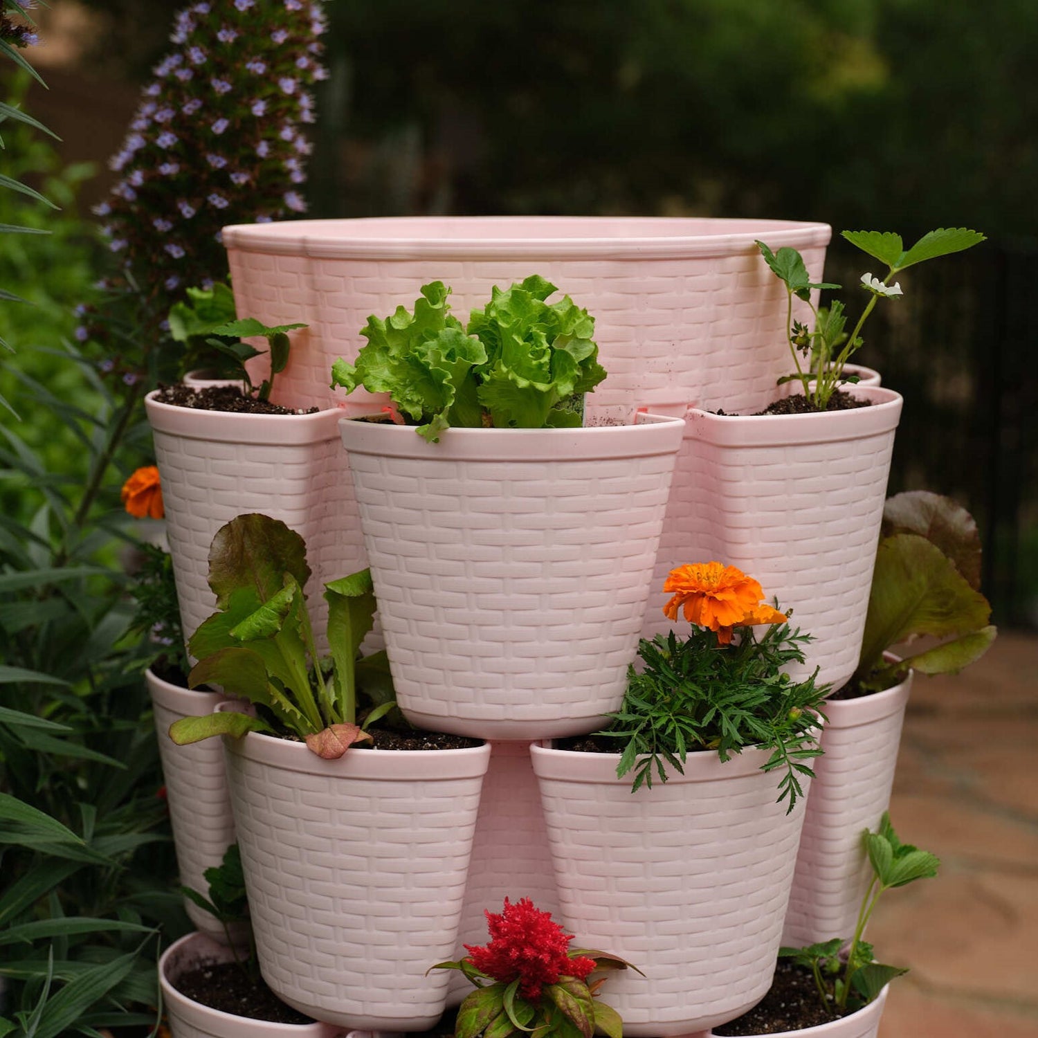 Vertical Planters -