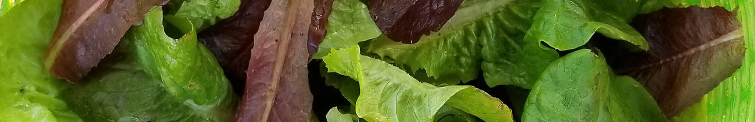Greens