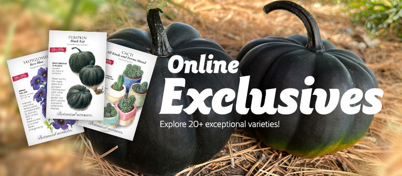 Online Exclusives