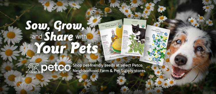 Pet-Friendly Seed Collection