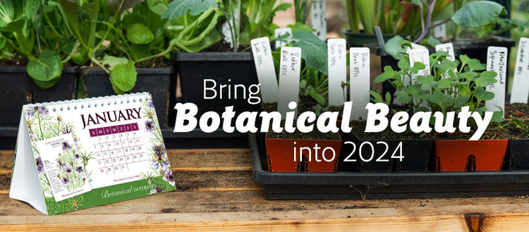 Botanical Art Products