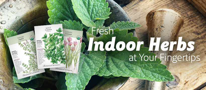 Indoor Herbs