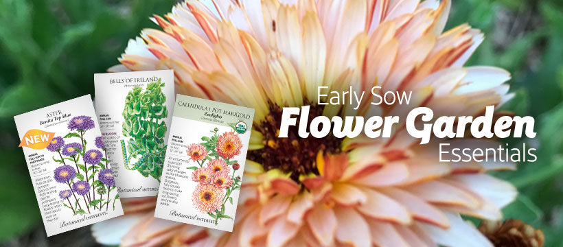 Early Sow Flowers