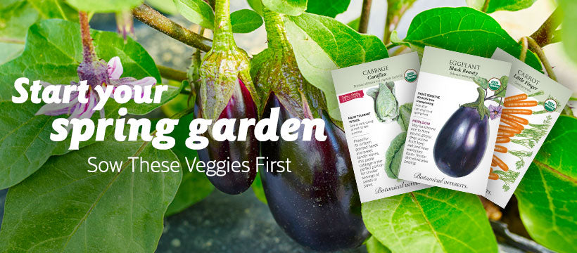 Early Sow Vegetables