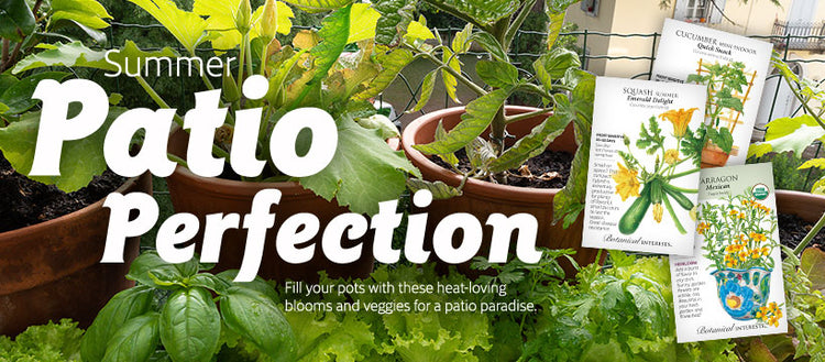 Container Garden Seed Collection