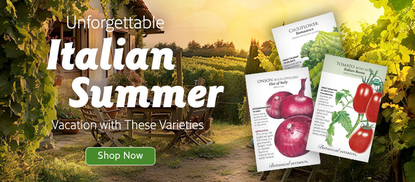 Italian Vacation Collection