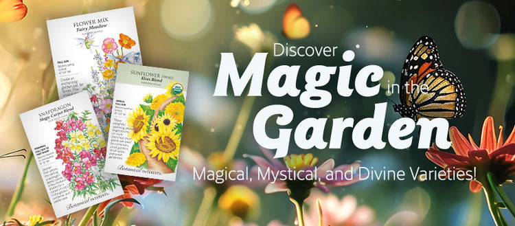 Magical & Mystical Seed Collection