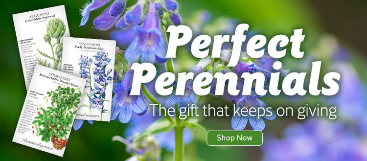 Perfect Perennials