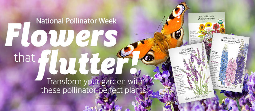 Pollinator Favorites Collection – Botanical Interests