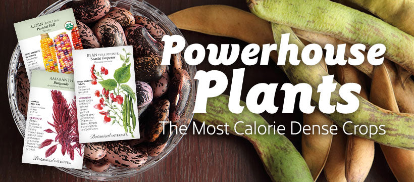 Powerhouse Plants Collection