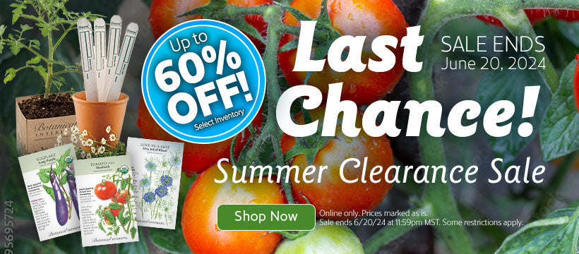 Summer Clearance: Get Up to x% OFF