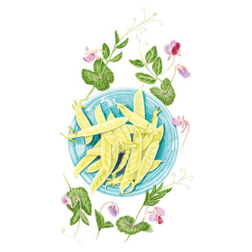 Golden Sweet Snow Pea Seeds