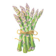 Spartacus Asparagus Seeds
