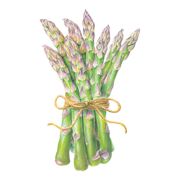 Spartacus Asparagus Seeds