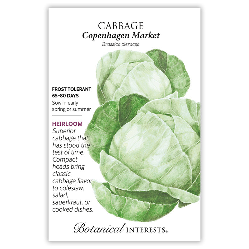 Copenhagen Market Cabbage Seeds