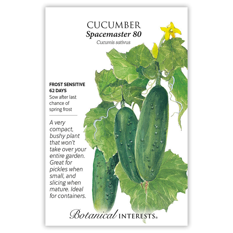 The Container Collection Seed Bundle