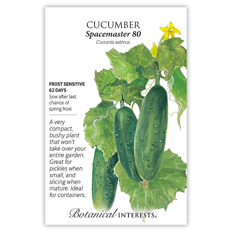 planting depth for cucumber seeds Spacemaster 80 Cucumber Seeds – Botanical Interests