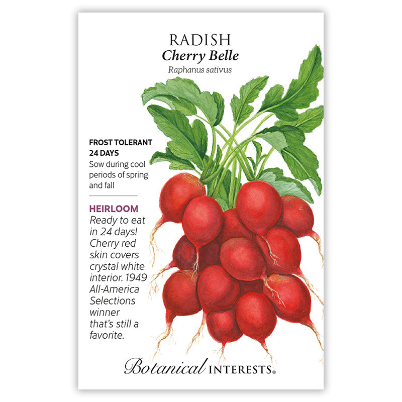 planting cherry belle radish seeds Cherry Belle Radish Seeds – Botanical Interests