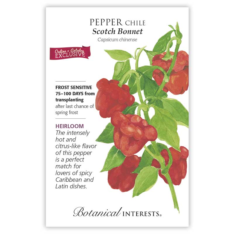 Chile Pepper Gift Set