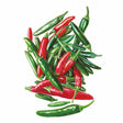 Serrano Chile Pepper Seeds