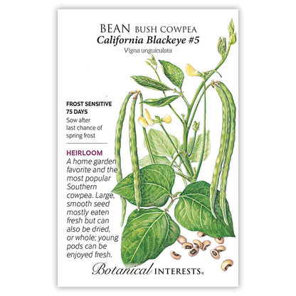 California Blackeye #5 Bush Cowpea Bean Seeds