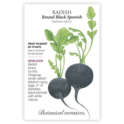 Round Black Spanish Radish Seeds