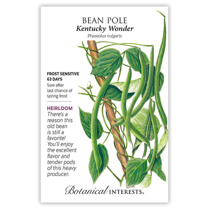 Kentucky Wonder Pole Bean Seeds