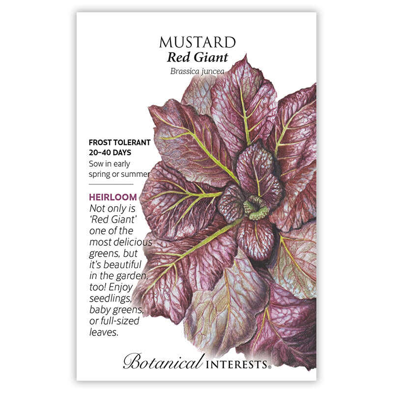 mustard seeds for garden Red Giant Mustard Seeds – Botanical Interests