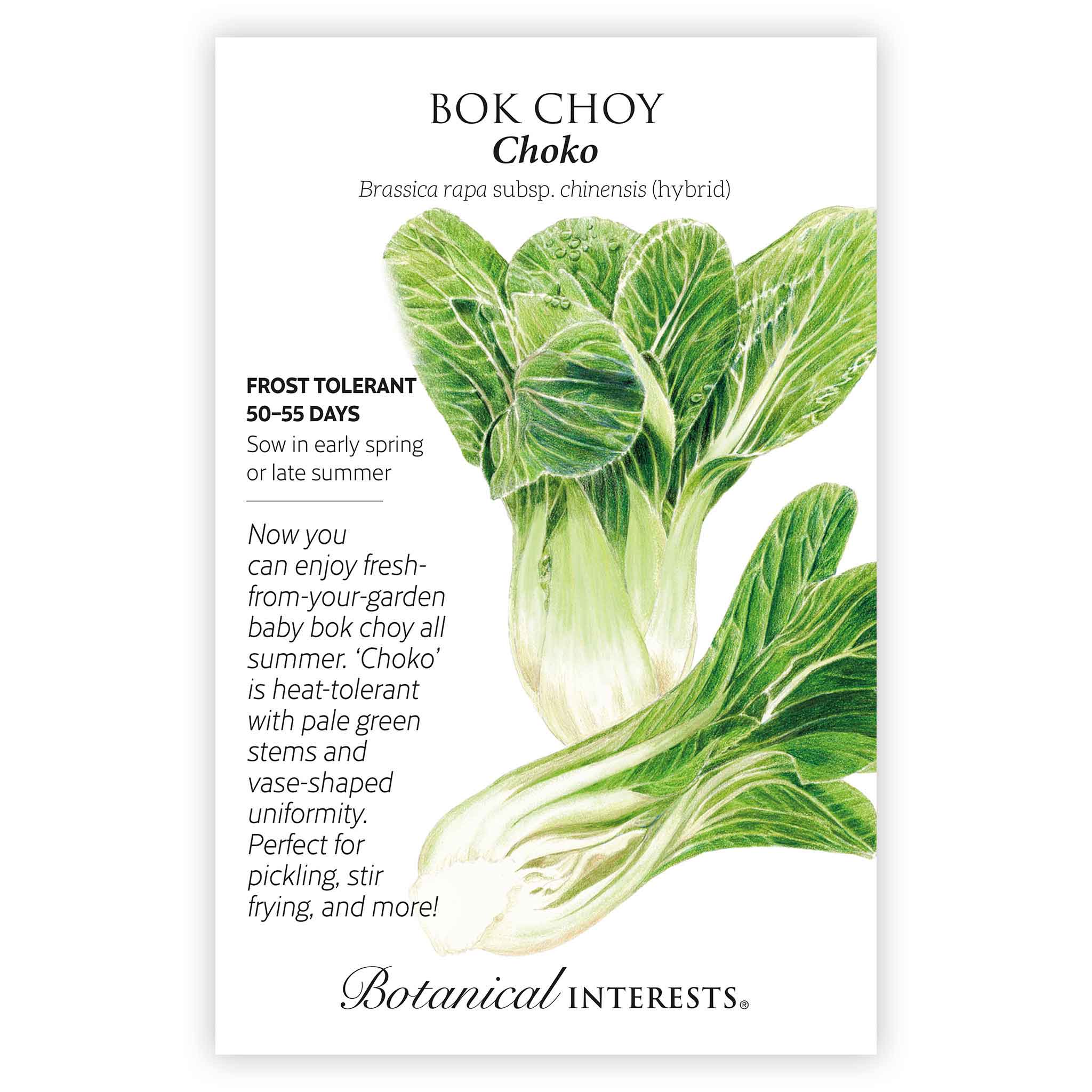 Bok Choy Choko Seeds – Botanical Interests