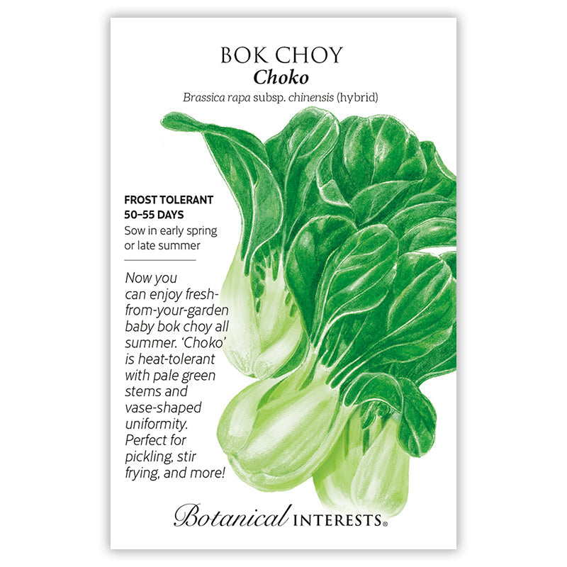 Bok Choy Choko Seeds