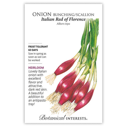 Italian Red of Florence Bunching/Scallion Onion Seeds